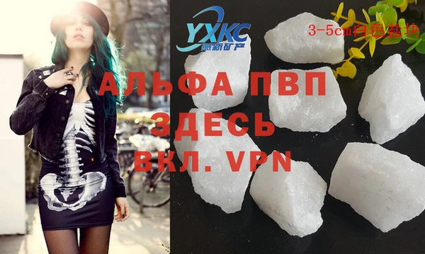 СК Алексин