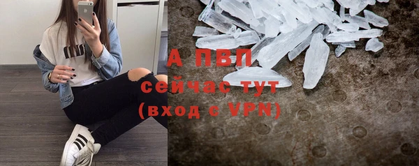 СК Алексин