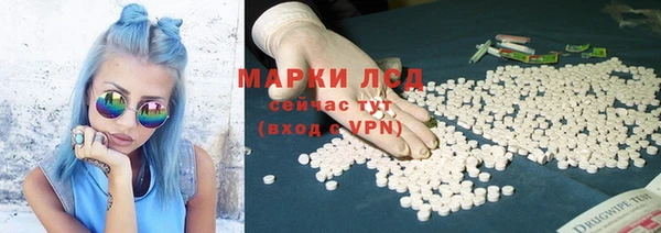 СК Алексин