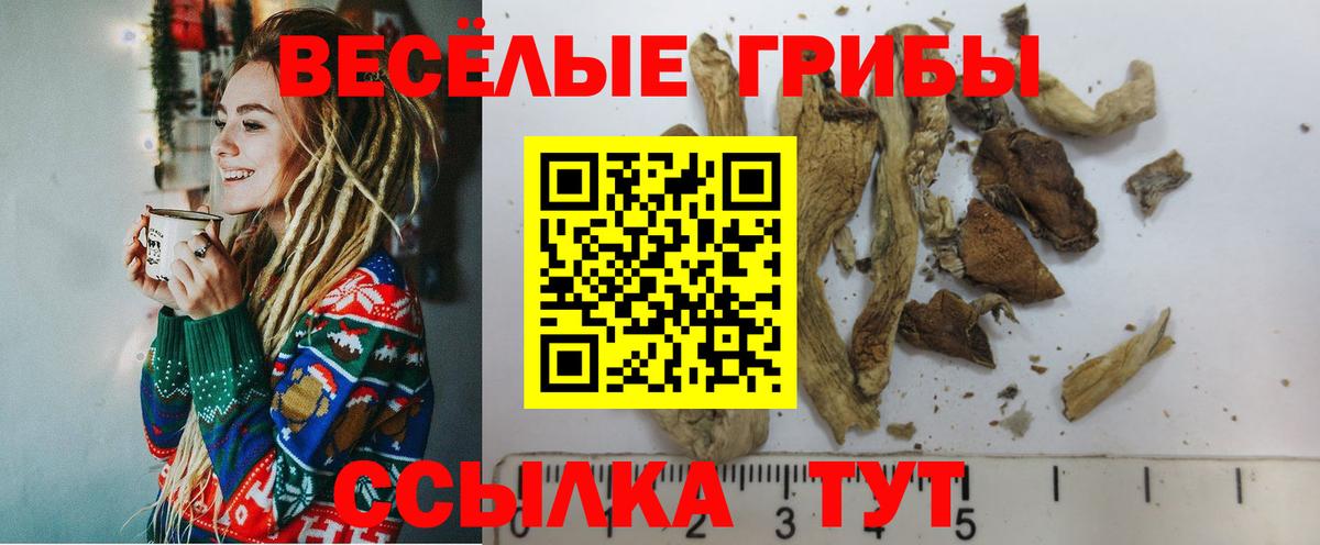 Белгород  Псилоцибиновые грибы прущие грибы  купить наркоту  Вход с VPN 