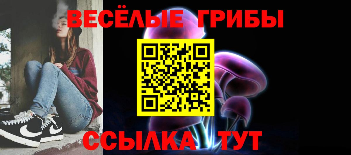 Псилоцибиновые грибы мицелий Белгород