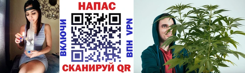 МАРИХУАНА MAZAR  где найти   Белгород 